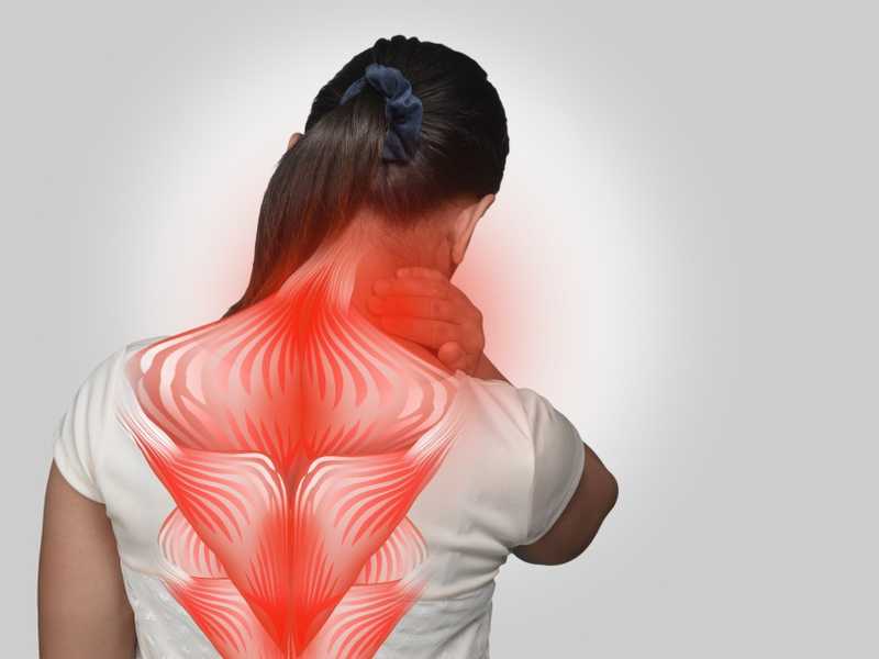 أفضل كريم ومرهم باسط للعضلات ومضاد للالتهاب 